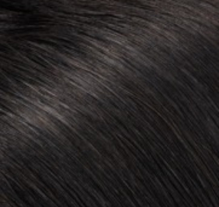 Classic Brown Clip-In Hair Extensions