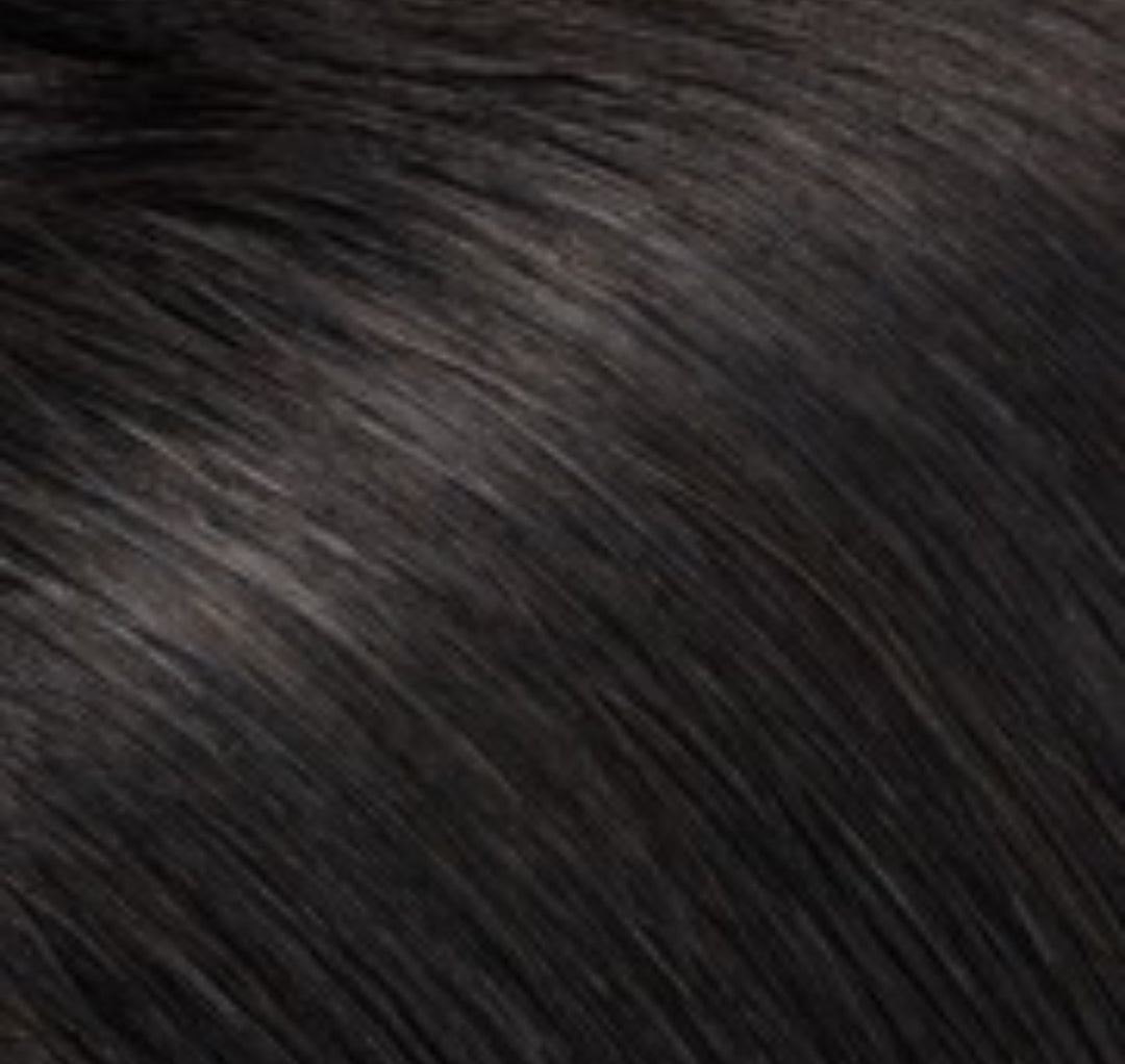 Classic Clip-In Hair Extensions