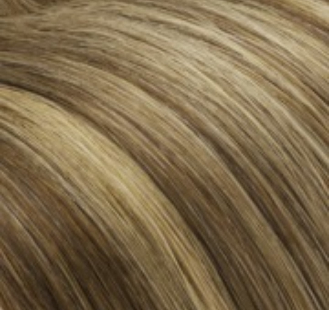 Highlighted Classic Clip-In Hair Extensions